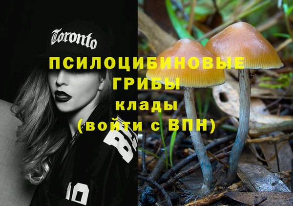 не бодяженный Абаза