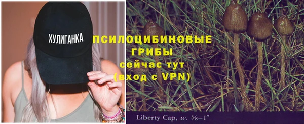гидропоника Абдулино