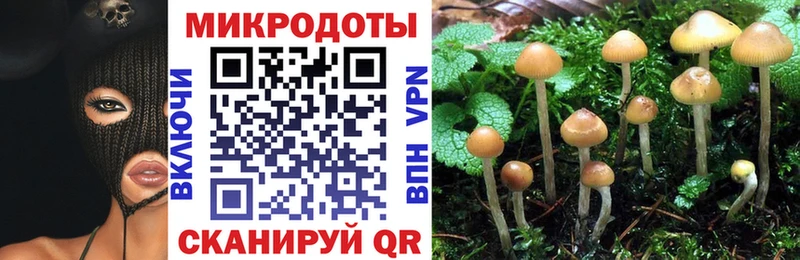 Псилоцибиновые грибы MAGIC MUSHROOMS  omg зеркало  Алексин 
