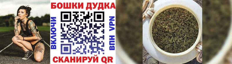 блэк спрут   продажа наркотиков  Алексин  Канабис сатива 